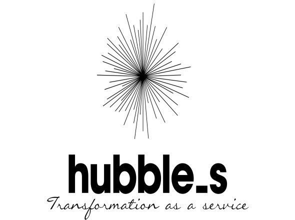 Hubble_s - Transformation as a Service, seek behav