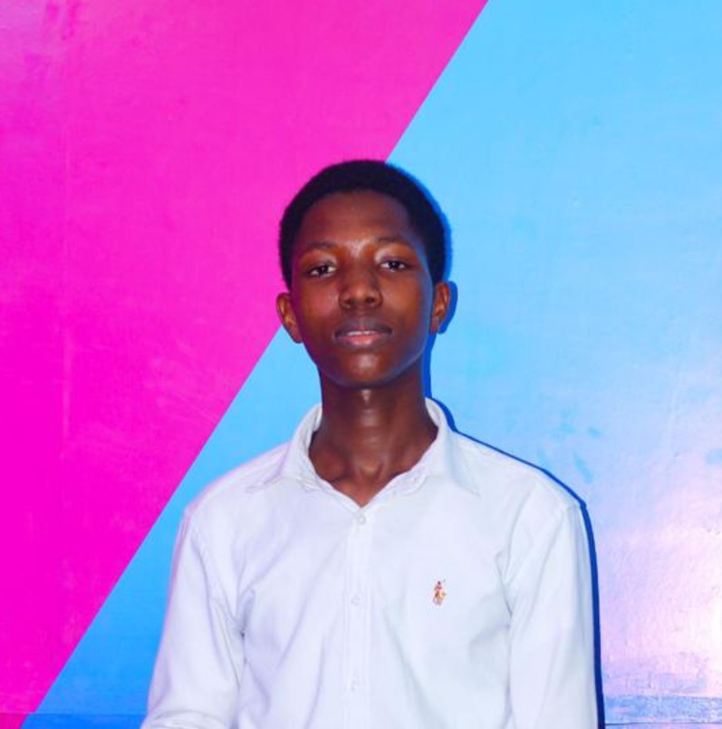 I pledge to offer you professional writings which will be clear and concise.