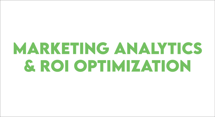 I will analyze your marketing performance and optimize your ROI
